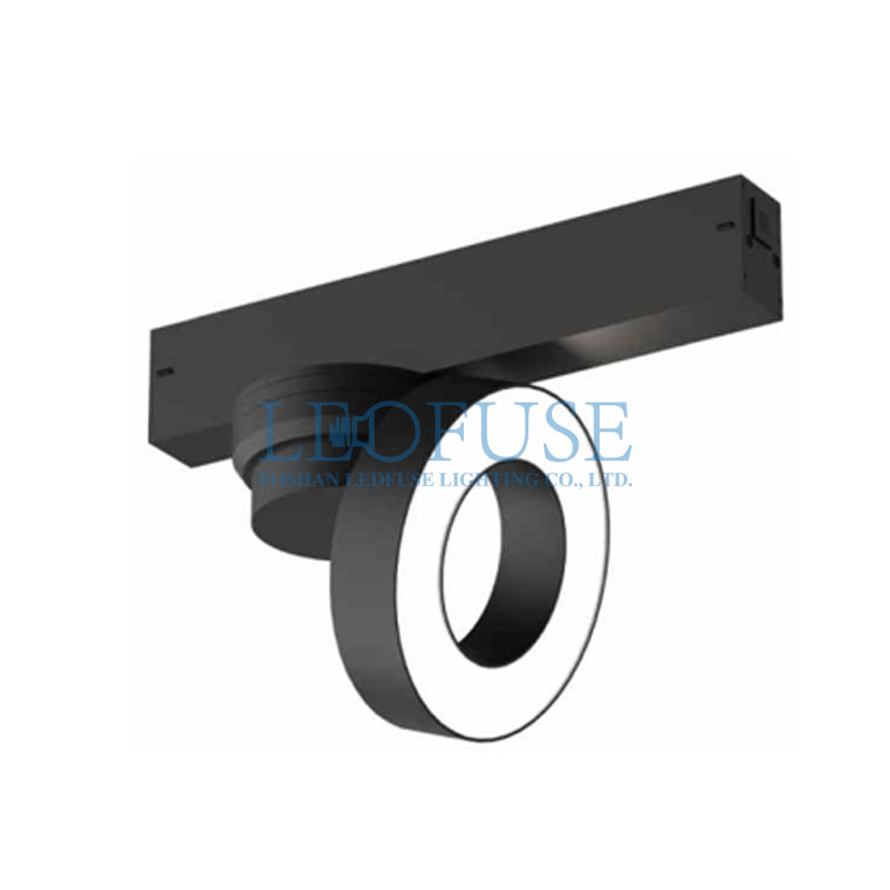 MAS2509-TL12W
